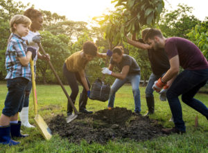 Group of people plant a tree together outdoors