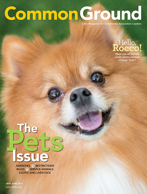 Common Ground Magazine, May/June 2017 Pets Issue Cover